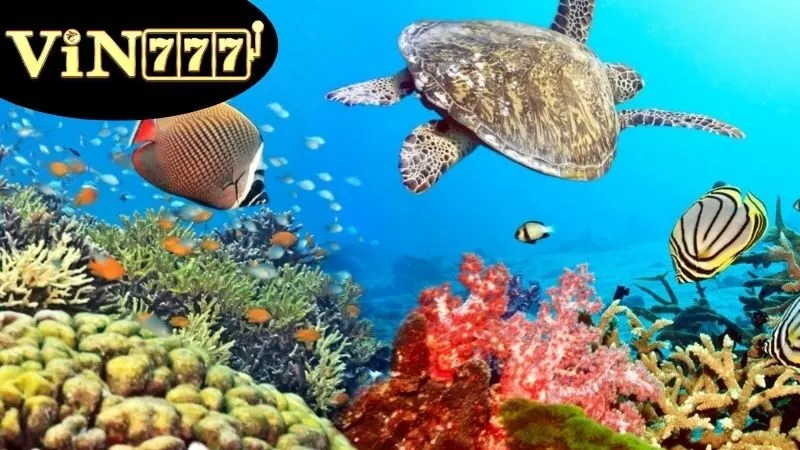 Hành Tinh Đại Dương – Bắn cá đổi thưởng cực hấp dẫn 3 Top 5 lựa chọn hàng đầu